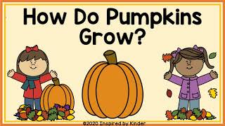 How Do Pumpkins Grow Pumpkin Life Cycle [upl. by Gisele642]