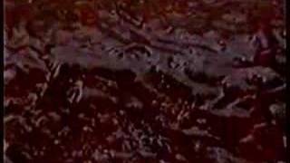 Carsons Ribs Commercial 1988 [upl. by Garvin]