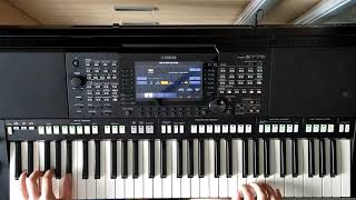 Jurij Shatunov  Bielyje rozy cover Yamaha psr s775 [upl. by Nirrad836]