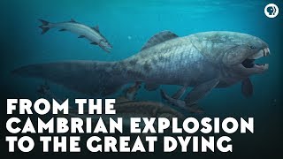 From the Cambrian Explosion to the Great Dying [upl. by Nohsram]