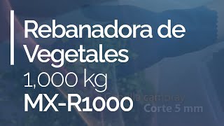 Rebanadora de Vegetales 1000KG MXR1000  Maxia [upl. by Allen]