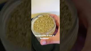 Perlite vs Vermiculite  Soil Amendments [upl. by Enaywd]