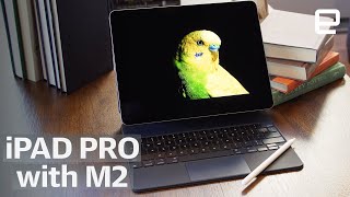 Apple iPad Pro with M2 review 2022 An impressive expensive stopgap [upl. by Lorita744]