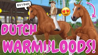 BUYING DUTCH WARMBLOODS IN STAR STABLE 🐴 [upl. by Ytitsahc]