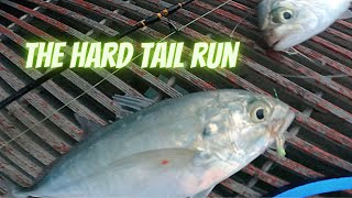 The Hard Tail Run  Okaloosa Pier Fishing [upl. by Oilasor]