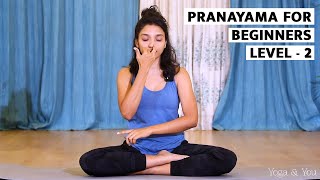 Pranayama  Nadishodhan Pranayama l Breathing technique for Stress Relief  VentunoYoga [upl. by Geilich543]