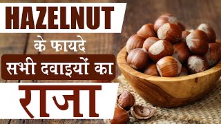 Benefits of Hazelnut in Hindi  Hazelnut के फायदे  Kidney Treatment Naturally without Dialysis [upl. by Notlil]