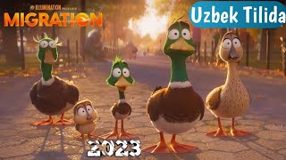 Yangi Multfilm  Tarjima Multfilm 2023  Migrantlar  Uzbek Tilida [upl. by Hosbein336]