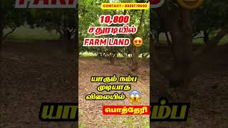 10800 சதுர அடியில் அழகிய Farm Land For Sale Near Chennai  Potheri [upl. by Nevur]