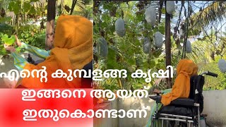 എന്റെ കുഞ്ഞുസ്വർഗം ❤️ Morning Vlog Zaidha’s Cute worldProductive morning Malayalam vlog vlog [upl. by Labina]