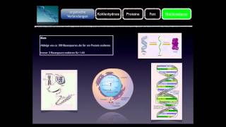 Basiskurs BiochemieChemie Nukleinsäuren Teil 1010 [upl. by Stanway]