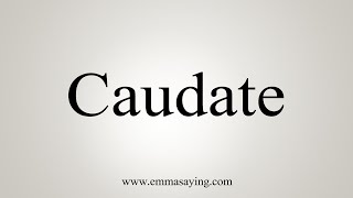 How To Say Caudate [upl. by Schroer]