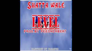 Shatta Wale  Level Audio Slide [upl. by Pedersen]