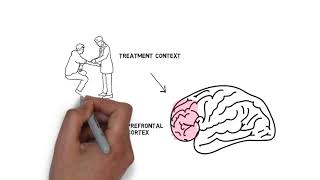 The Neuroscience Behind the Placebo Effect [upl. by Sewell]