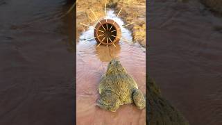 Survival Skills Simple and Useful with Clay Frog Trap survival bushcraft camping shrots [upl. by Letty]