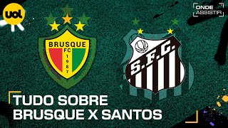 BRUSQUE X SANTOS ONDE ASSISTIR TRANSMISSÃO AO VIVO E HORÁRIO PELO BRASILEIRÃO SÉRIE B [upl. by Rivkah]