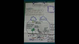 Know about Nitrogen Cycle  Science Basic of Nitrogen Cycle [upl. by Nylirej764]