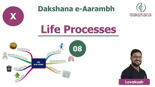 Dakshana  Aarambh  Class X  Biology  Life Processes  L08  Lovekush [upl. by Elag]