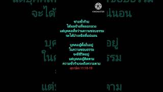 สุภาษิต 111627 [upl. by Bastian]