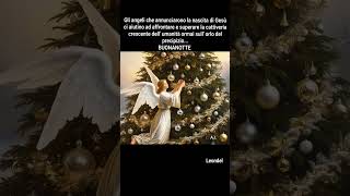 buonanotte Gli Angeli del Natale [upl. by Rairb]