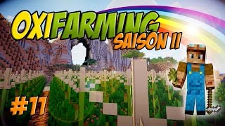 Minecraft OxiFarming Saison 2 Ep11 Le poulailler [upl. by Acirederf]