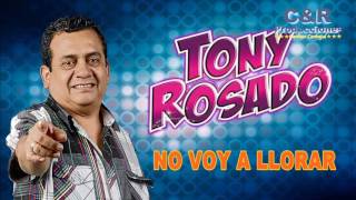 Lloro Tony Rosado Letra [upl. by Aissert909]