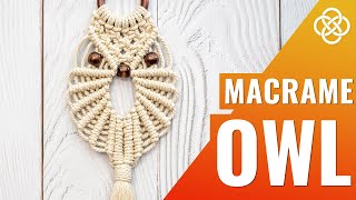 DIY Macrame owl wall hanging  Macrame diy  Easy macrame owl tutorial [upl. by Kellyn]