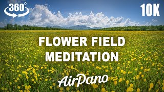 Flower Field 360° Meditation in 10K [upl. by Farley]