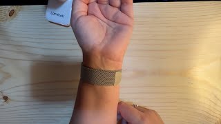 Trying Out a Magnetic Mesh Watch Band [upl. by Alleuqahs]