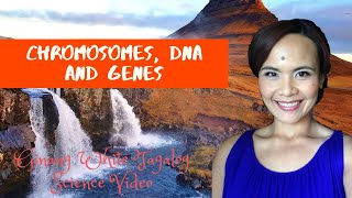 LESSON ON CHROMOSOMES DNA AND GENES  IN FILIPINO [upl. by Enylekcaj673]