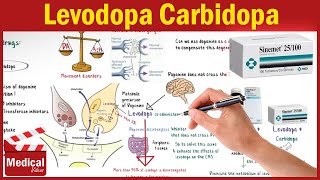 Pharmacology CNS 3 Parkinsons Disease Treatment Part 1 Levodopa Carbidopa and Benserazide [upl. by Adda]