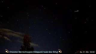 Orioniden Sternschnuppen 💫 Höhepunkt im Livestream am 20102023 quotquotWünscht Euch was 💘quotquot ab 22 Uhr 💫 [upl. by Freberg]