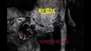 Ignis Fatuu Remix Kobolt instrumental speed slowed 2024 [upl. by Persian]