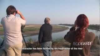 The Camargue and the Camargue Regional Nature Park [upl. by Irmgard]