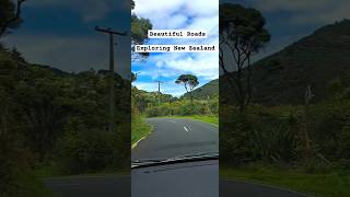 Get Ready to Explore New Zealand  Bethells Beach  shorts minivlogs travel nature [upl. by Gussman]