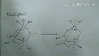 Bioinorganic chemistry part 3  hemeerythrin hemocyanin blue copper protein [upl. by Claudianus]