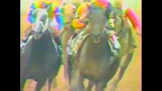 1988 Preakness Stakes  Risen Star [upl. by Yror]