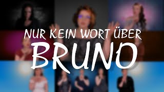 NUR KEIN WORT ÜBER BRUNO  Encanto Cover  Julia Vieregge [upl. by Nyrraf371]