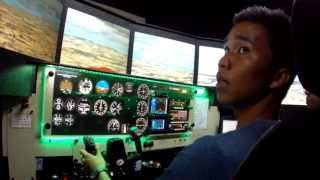 Omni Aviation RedBird LD Simulator  Climbs amp Descents HD [upl. by Asyral]