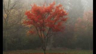 Peter Hammill Autumn [upl. by Croner685]