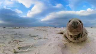 WADDEN 360 degrees [upl. by Touber]