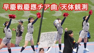 早慶戦慶應チア曲「天体観測」 東京六大学野球秋季リーグ早慶戦第２戦 2024 11 10（日）神宮球場＃早慶戦 [upl. by Erdda]