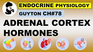 Ch78 Physiology Guyton  ADRENAL CORTEX Hormones  Hormones  Dr Asif Lectures [upl. by Nakhsa408]