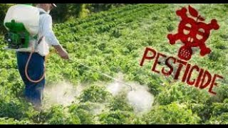 Pesticides Bioaccumulation Biomagnification amp Xenobiotics PART 1 [upl. by Yblocaj]