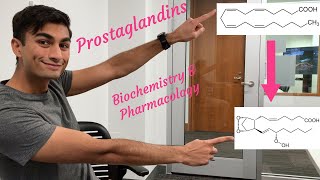 Prostaglandins  Biochemistry and Pharmacology [upl. by Yehudi300]