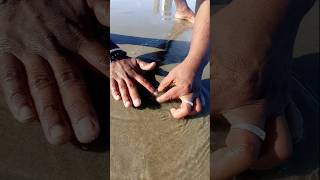 Unbelievable Catching with Empty Hand fishing fishingvideos seafishing thoondilulagam [upl. by Childers989]