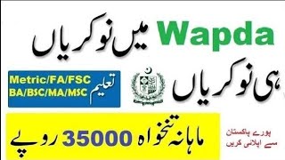 WAPDA Jobs 2024 – Download PTS Application Form [upl. by Nednerb]