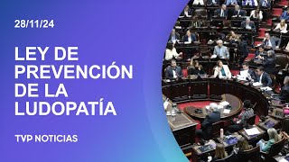 Diputados le dio media sanción a la ley de Prevención de Ludopatía y Regulación de Apuestas online [upl. by Nagam]