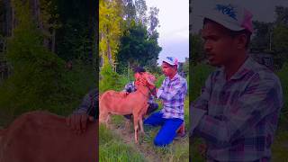 tum samjhate q nahi😂 funny comedy gnglucky shortvideo [upl. by Anirtek136]