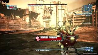 Borderlands 2 Hyperius the Invincible  Bee  Fibber Tutorial HD TVHM Dezember 2012 [upl. by Lienhard]